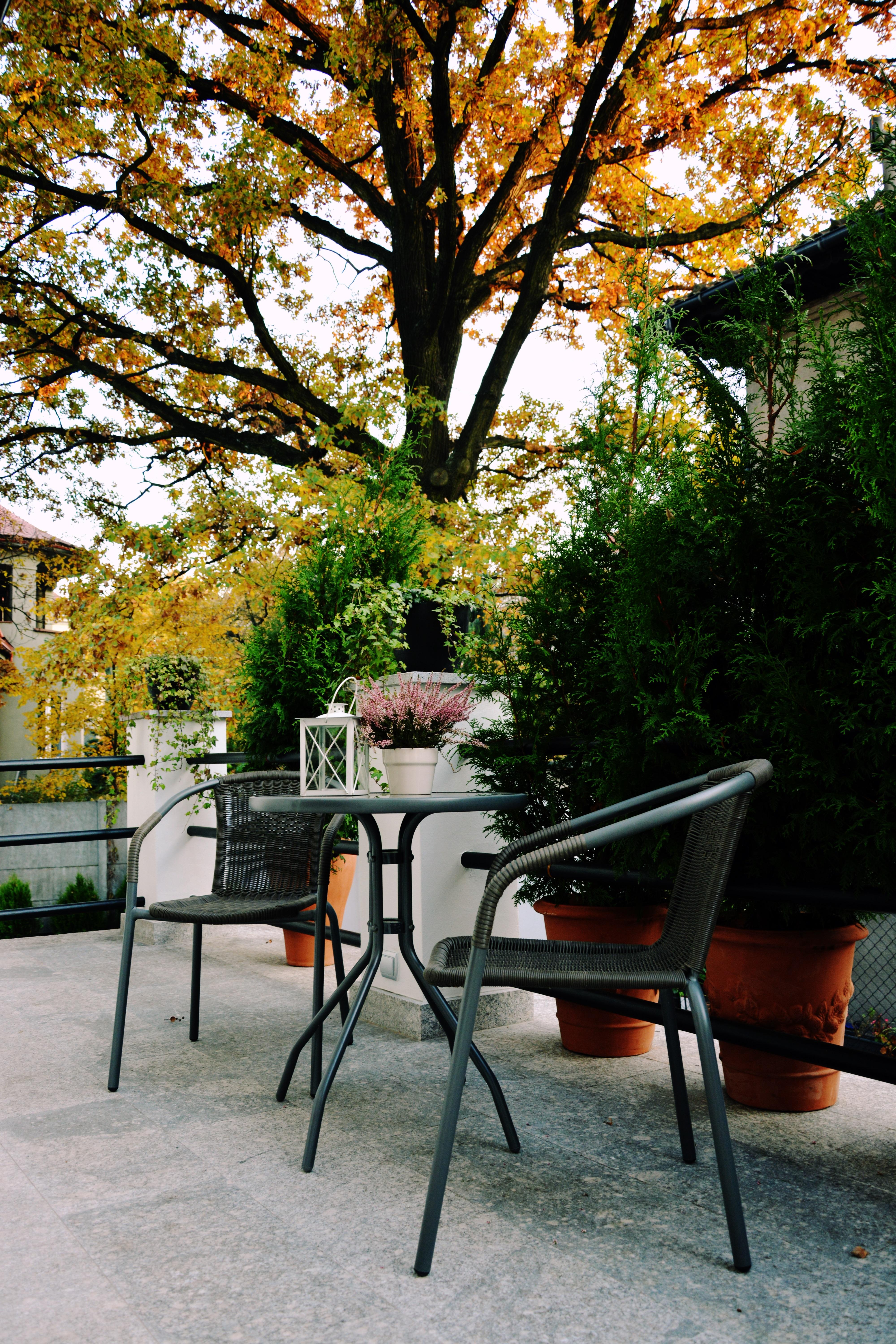 Grottger Luxury Boutique Hotel City 克拉科夫 外观 照片